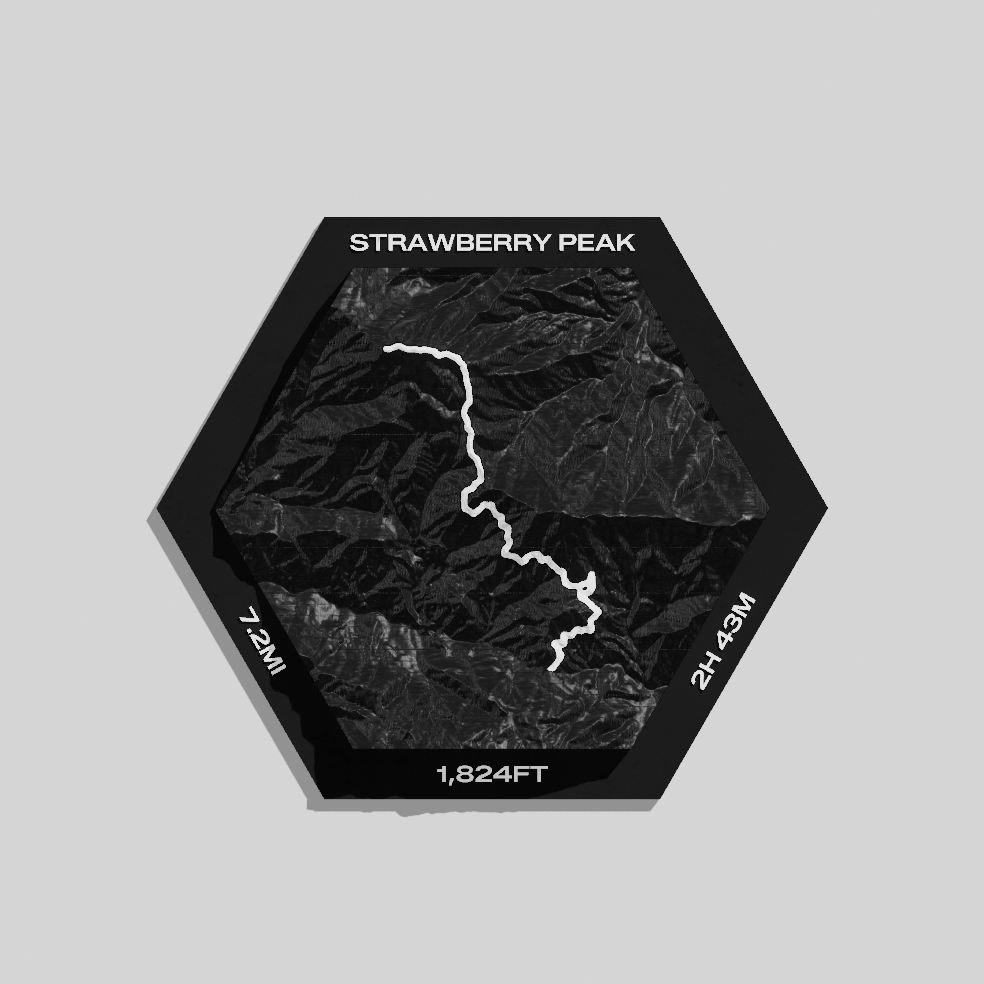 Custom Hex 3D Trek Map With Stats